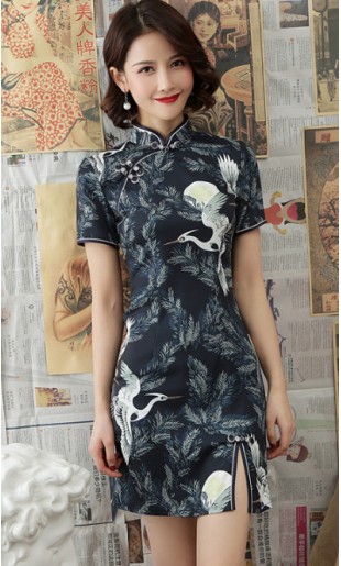 Addisyn "B" Cheongsam